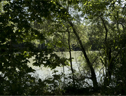 Al di là del fiume e sotto gli alberi